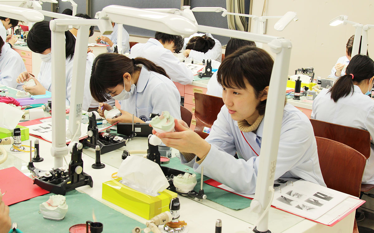 日本の歯科技工士の技術 | 歯科技工士を志す方へ | 全国歯科技工士教育